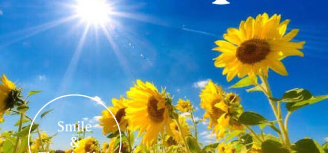 暑くなってきましたね〜☀️