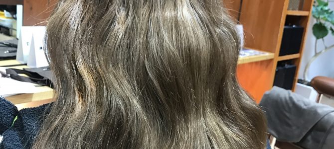 ここ最近の出来事 ここ最近の出来事