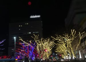 img_4331
